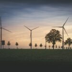 Harnessing the Wind: Innovations in Sustainable Energy