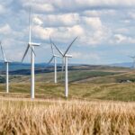 Beyond Fossil Fuels: The Path to Sustainable Energy