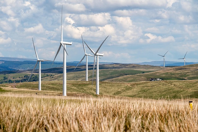 Beyond Fossil Fuels: The Path to Sustainable Energy
